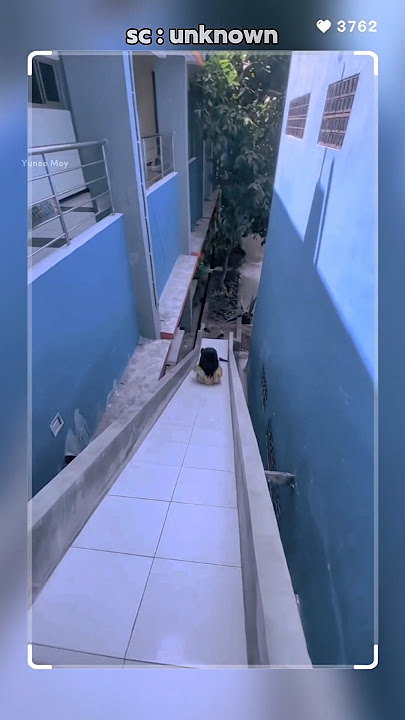 Ketika cewek turun pake perosotan di sekolah