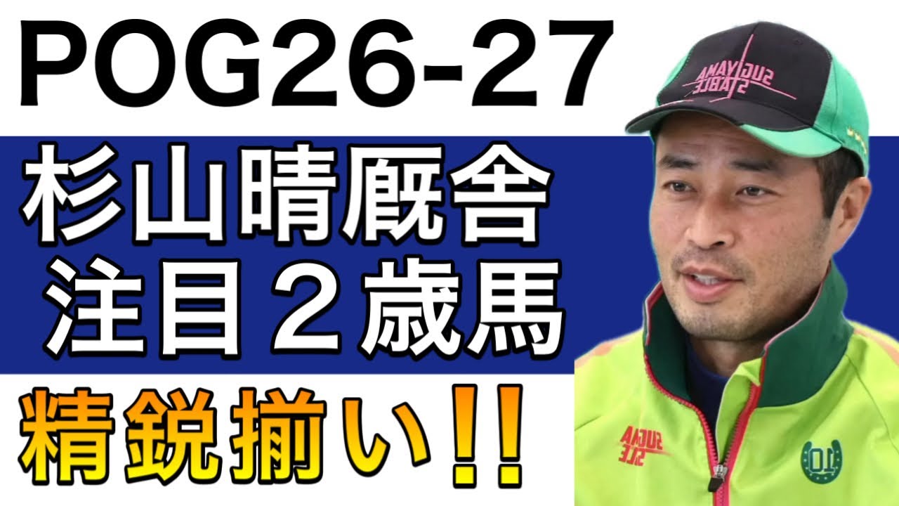 【POG/26−27】杉山晴厩舎の注目２歳馬をリストアップ！【精鋭揃いの名門厩舎‼️次シーズン向け】