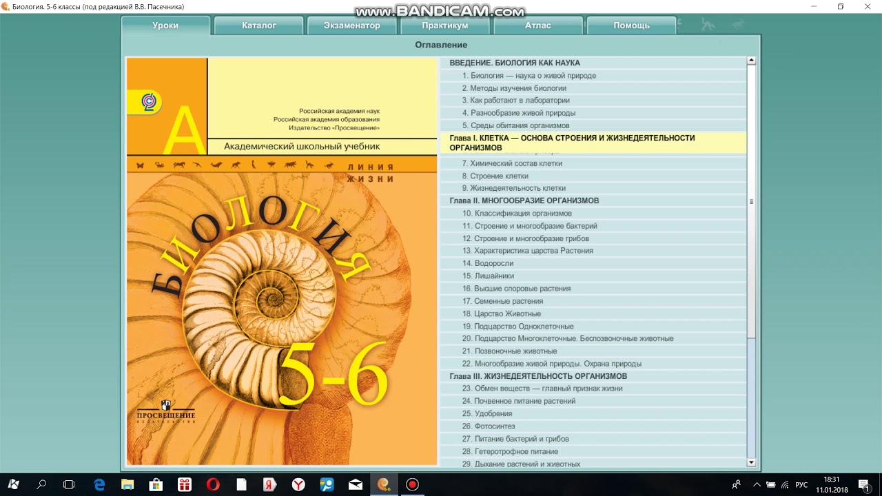 Программа по биологии 5 6 классы. Биология 5-6 линия жизни в.в Пасечник. Биология 5-6 класс Пасечник. Линия жизни биология 5-6 класс Пасечник в.в. Пасечник линия жизни 5 класс биология 5.