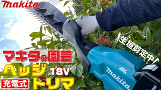 【お気軽剪定のススメ】マキタ 充電式ヘッジトリマー（片刃仕様）MUH603SDを使って生垣を刈り込み！