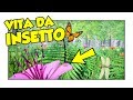 LA VERA VITA DI UN INSETTO! - Nectar ITA