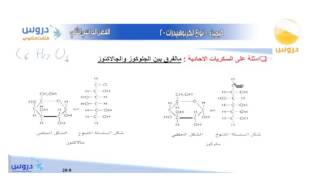 الثالث الثانوي | الفصل الدراسي الثاني | الكيمياء | أنواع الكربوهيدرات