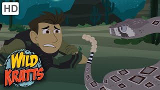 Wild Kratts | Rattlesnake Crystal | Full Episode | Season 2 screenshot 3