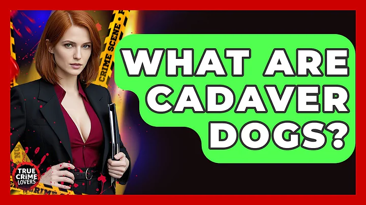 What Are Cadaver Dogs? - True Crime Lovers