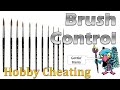 Understanding Brush Control - HC 305