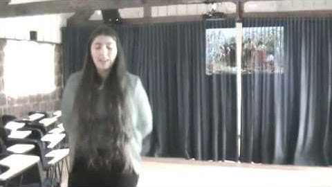 PIN518 Racial discrimination throughout American history an overview Final presentation 2017