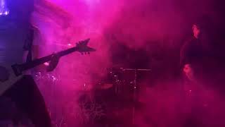 Neurotoxico - Caos reina