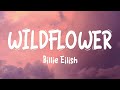 Billie Eilish WILDFLOWER Lyrics 