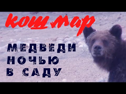 Кадры из фильма Незваные гости