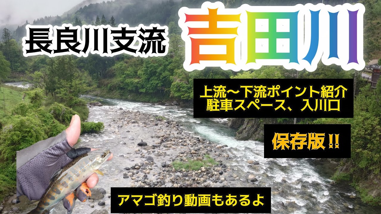 長良川支流吉田川　上流〜下流ポイント紹介、駐車スペース、入川口保存版‼️アマゴ釣り動画もあるよ