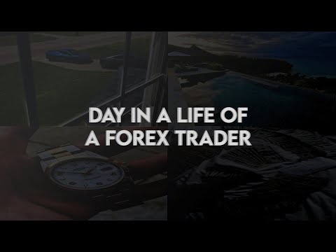 A Day in the Life of a Forex Trader: Unveiled!