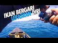 #46- Ikan Bergari Lepaskan Diri- Kayak Fishing Malaysia