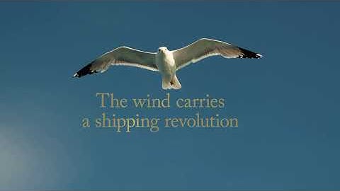 Wallenius Marine - Why do we develop Oceanbird?