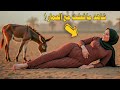 شاهد ما فعلته هذة المرأة مع الحمار وعندما علموا اهل القرية ماذا فعلوا معها صدمة شاهد ما فعلته هذة المرأة مع الحمار وعندما علموا اهل القرية ماذا فعلوا معها صدمة