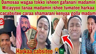 📌😢🇸🇦#micayyoo tanaa Damosaa ishee gafanani madamin tumatee kin harkaa cabsitee seeri biyya Sanaa hin