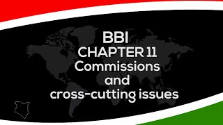 THE  BBI REPORT CHAPTER 11 IN AUDIOVISUAL FORMAT video 12 of 13