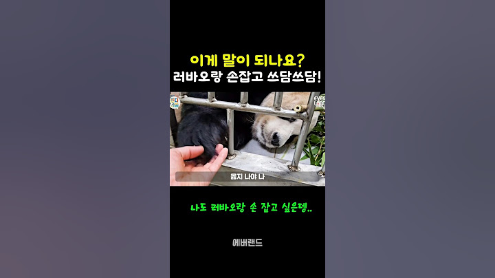 러바오! 내 손도 잡아줘 ㅠㅠ