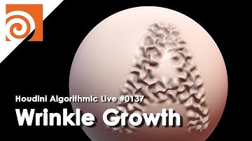 Houdini Algorithmic Live #137 - Wrinkle Growth