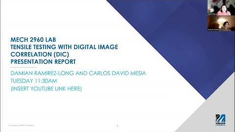 Lab 3 Digital Image Correlation Presentation Report