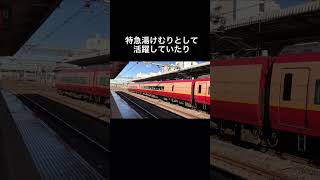 特急「日光・きぬがわ」で活躍する253系電車