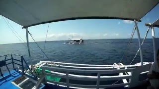 North Sandbar Bohol 2016- Island Hopping with SET (Soul I Exclusive Team)