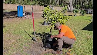 Treetpee - Installation & Removal Wealth