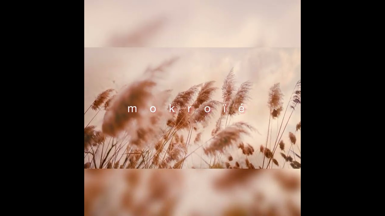 REMEMBERING THE SUN - mokroïé / back catalogue