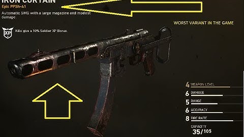 IRON CURTAIN - EPIC PPSH-41 VARIANT (Call of Duty WWII)