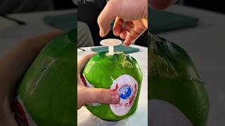 Ledg Coconut In The Future