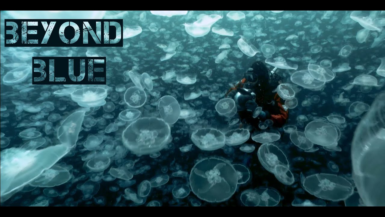 Beyond Blue Gameplay | Exploring the Deep Ocean 🌊🐋