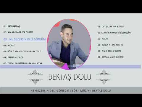 Bektaş Dolu - Ne Gezersin Deli Gönül