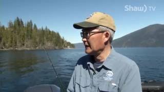 Go Fish Bc 2016 - Ep. 1 - Shuswap Lake