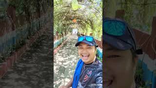 lorelei beach resort at samal