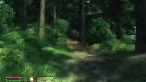 Elder Scrolls IV Oblivion Chapter 2 E3 Demo Video