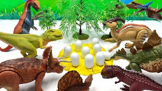 9 Dinosaur Egg Hatching |  Jurassic World Dino Toys