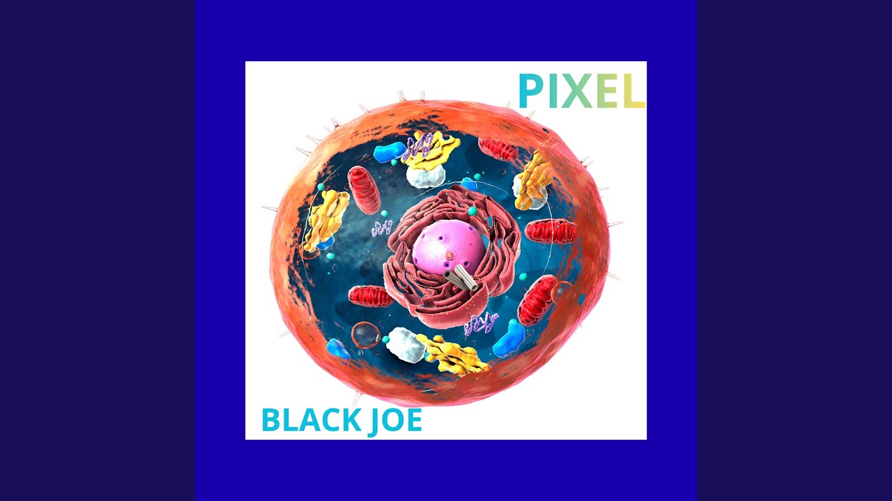 Guarda PIXEL su YouTube Guarda PIXEL su YouTube