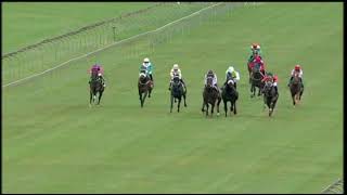 Vidéo de la course PMU PRIX TABGOLD - THE INTELLIGENT BET! MAIDEN JUVENILE PLATE