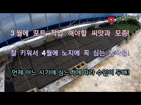 5월 초에도 봄 서리가 오기 때문에 노지에 씨앗 파종하면 어린 작물들이 냉해 피해를 많이 봅니다. 그렇다고 3~4월에 심어야 할 작물을 늦게 심을 수도 없지요. 그렇다면.