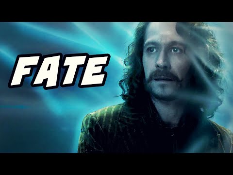 What KILLED Sirius Black? What Happened to Him? - Harry Potter Explained