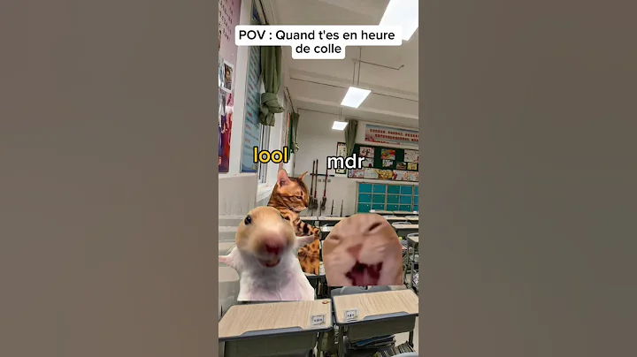 POV: Quand t'es en heure de colle #chatdrole #sketch #humour #pov #catmemes #drole