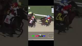 Back to back wins for Paco Lopez. Sergeant Molly the (8/5) favorite in race 7 at Gulfstream Park