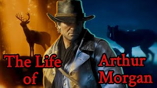 The Life of Arthur Morgan - Red Dead Redemption 2