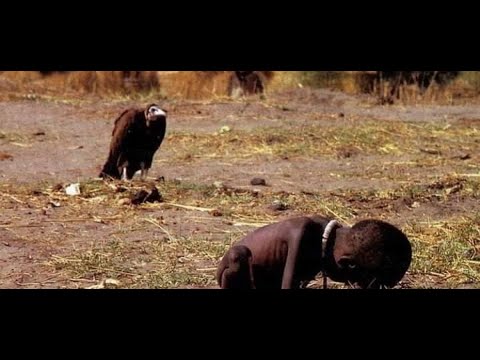 Видео: Энэтхэгт хэдэн тас шувуу үлдсэн бэ?