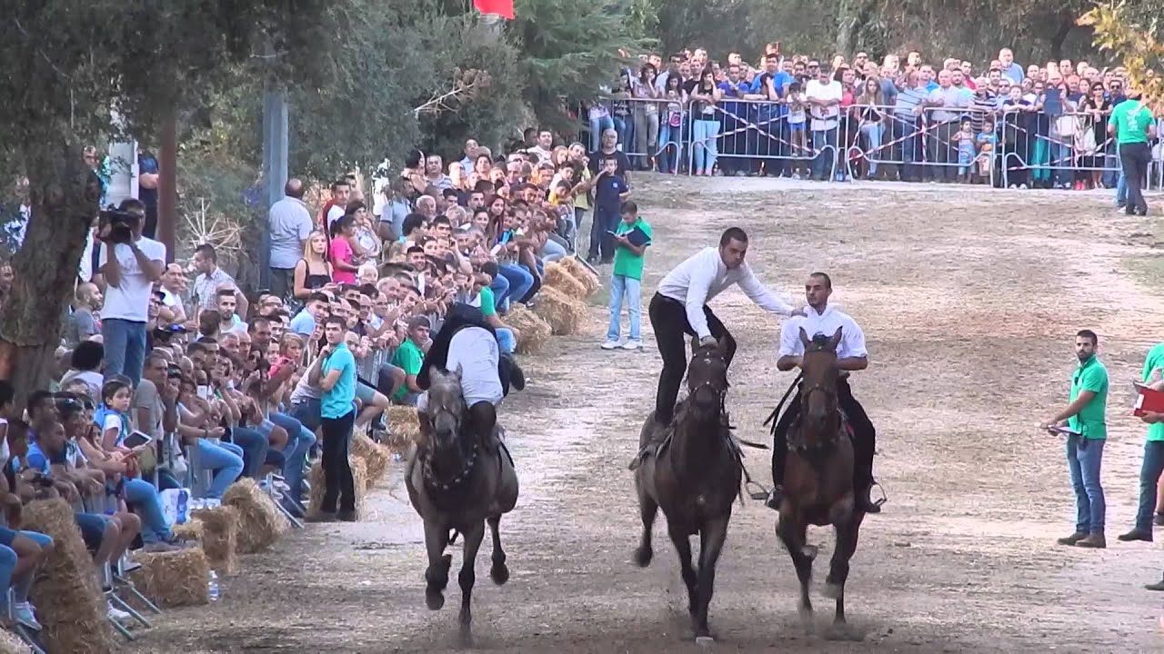 pariglie abbasanta esibizione pariglia di  nuoro caduta  cavaliere  30.08.2015