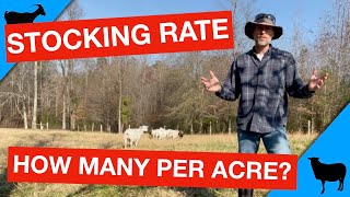 How Many Goats or Sheep Per Acre?