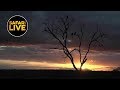 safariLIVE - Sunset Safari - April 23, 2019- Part 1
