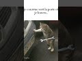 Ouvre l’électricien #memes #edit