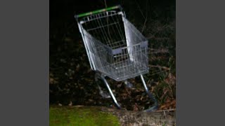 shopping cart