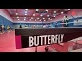 We are butterfly  table tennis america