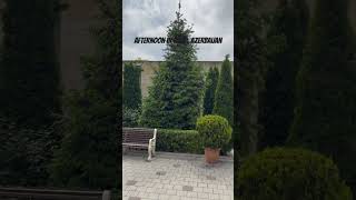 Afternoon In Quba, Azerbaijan